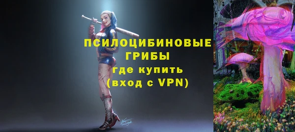 ГАЛЛЮЦИНОГЕННЫЕ ГРИБЫ Нея