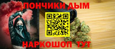 молекула духа Будённовск