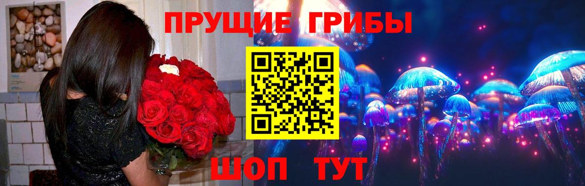 Киржач  Псилоцибиновые грибы Psilocybe  сколько стоит  Галлюциногенные грибы Psilocybe  Вход с VPN 